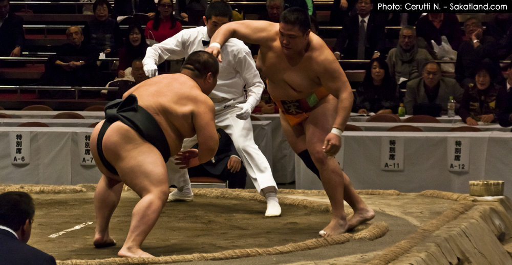 Sumo_Foot.jpg