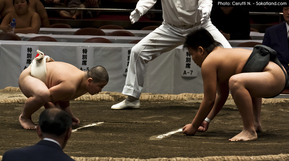 Sumo_Gosse2.jpg