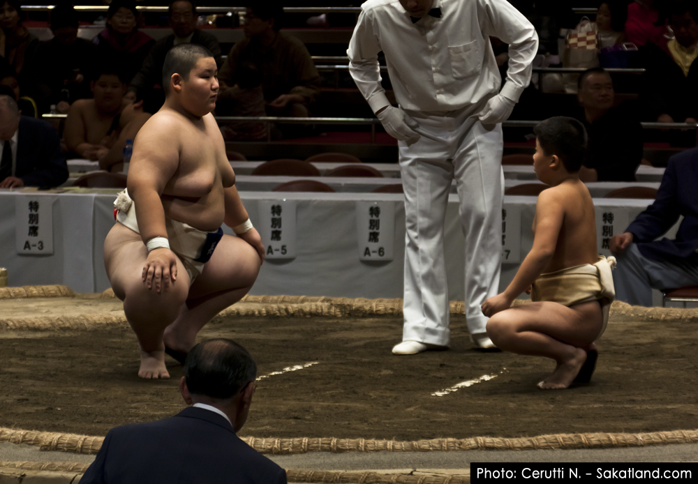 Sumo_Gosse4.jpg