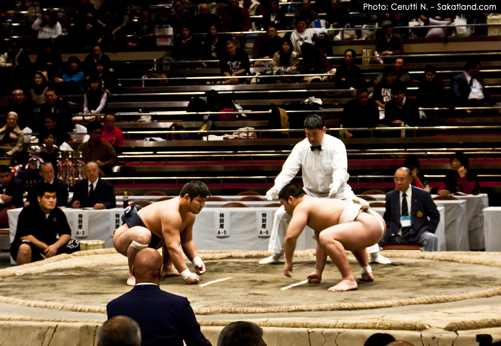 Sumo_Prepare3.jpg