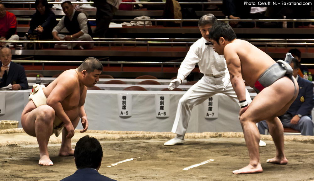 Sumo_Prepare4.jpg