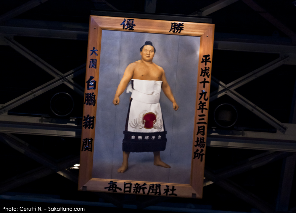 Sumo_Roofpic.jpg