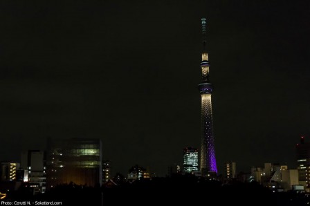 Asakusa_Night5.jpg