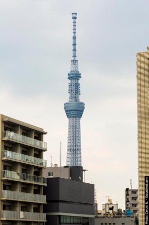 Asakusa_Skytree2.jpg