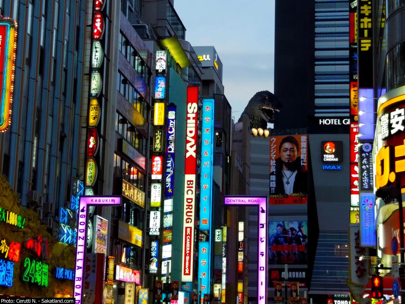 Shinjuku_Godzilla1.jpg