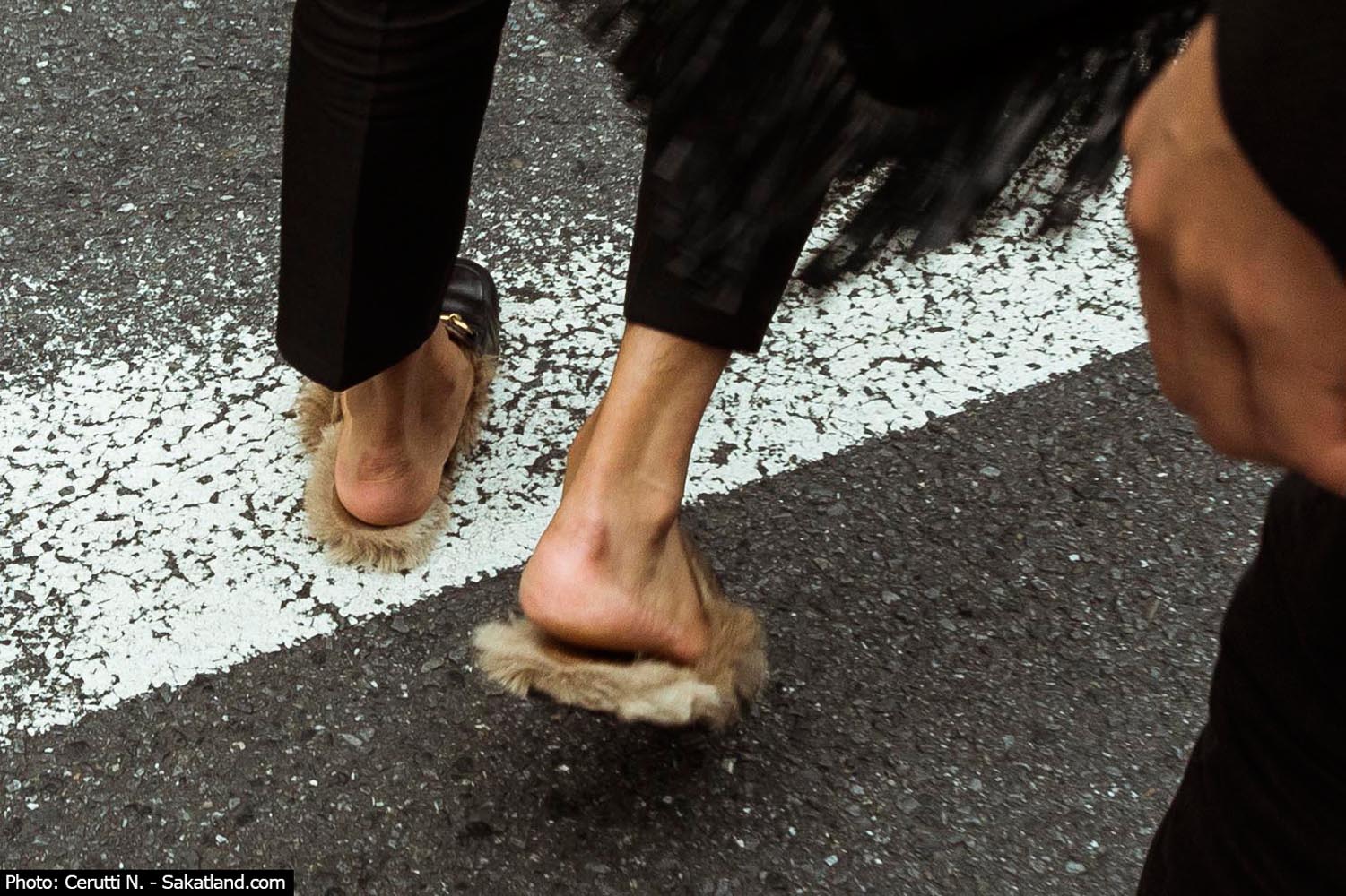 Shinjuku_Hairy_Shoes1.jpg