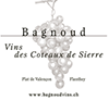 Bagnoud Vins