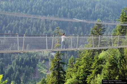 Bisse_Saviese-Bridge3_P.jpg