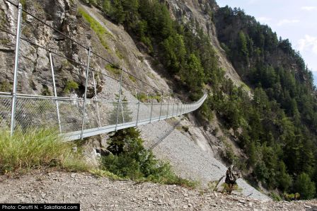 Bisse_Saviese-Bridge3.jpg