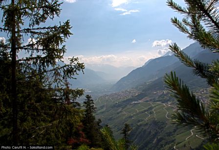 Bisse_Saviese-Plaine1HDR.jpg