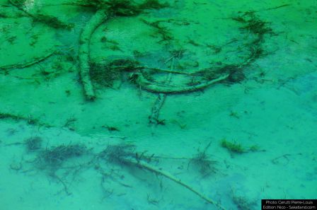 Lotschental-Bluelake2_P.jpg