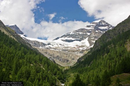 Lotschental-Paysage1_P.jpg