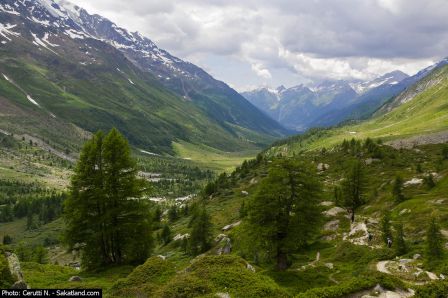 Lotschental-Paysage1.jpg