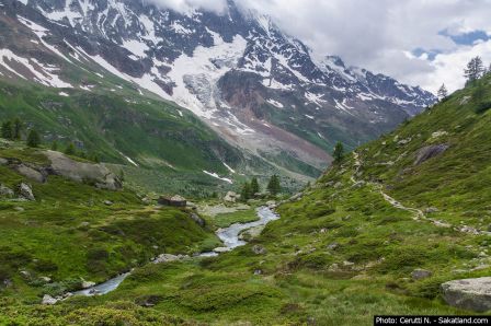 Lotschental-Paysage3.jpg