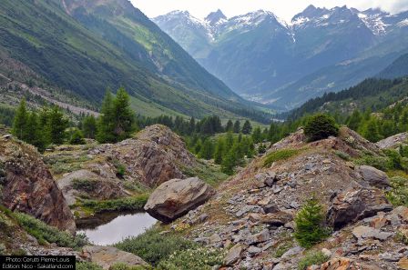 Lotschental-Paysage4_P.jpg