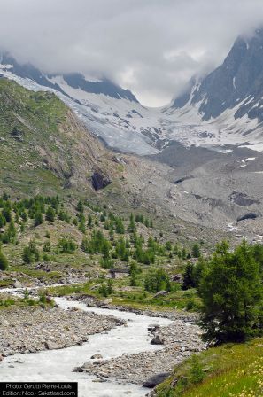 Lotschental-Paysage6_P.jpg