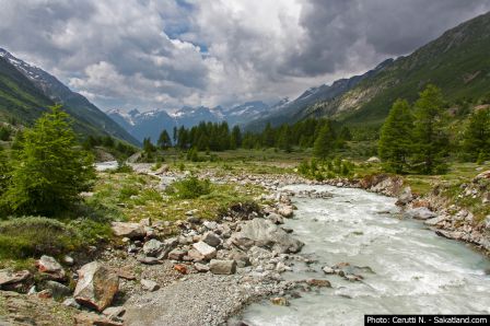 Lotschental-Paysage6.jpg