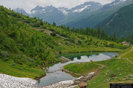 Lotschental-Paysage7_P.jpg