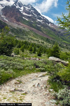 Lotschental-Paysage7.jpg