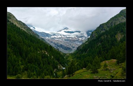 Lotschental-PaysageHDR1.jpg