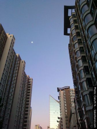 Morning-Moon.jpg