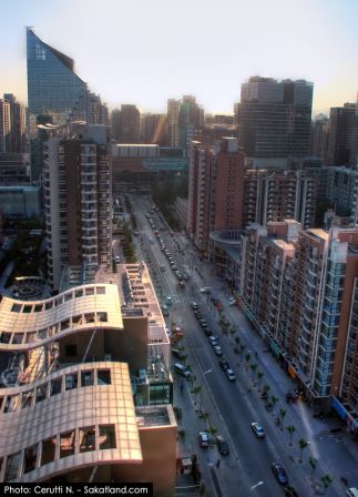 Beijing_Roof_6.jpg