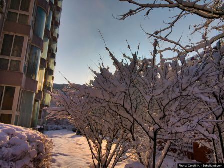 Snow_HDR2.jpg