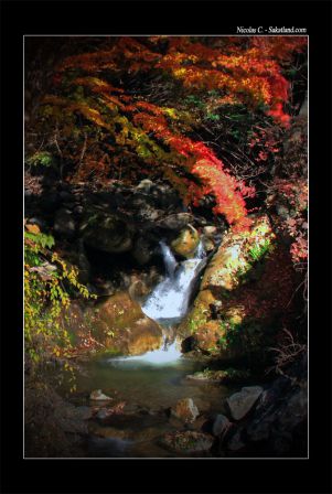 Sortie_automne_HDR.jpg