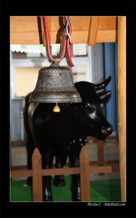 Fujisan_Cloche_Cow.jpg