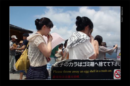 Fujisan_Egg4.jpg