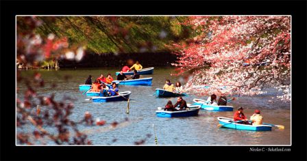 Ichigaya_Chidorigafuchi_Koen1.JPG