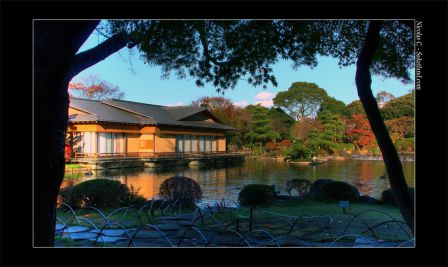 Nishikasai_Koen_HDR1.jpg