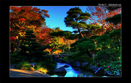 Nishikasai_Koen_HDR4.jpg