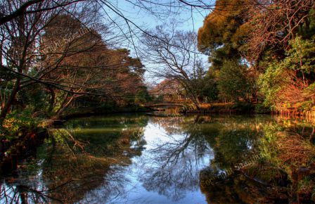 Shin_Edogawa_Koen3_HDR.jpg