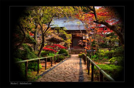 Trip_Junko_Zen_Garden_HDR1.jpg