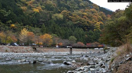 Spotting_Tomomi_River.jpg